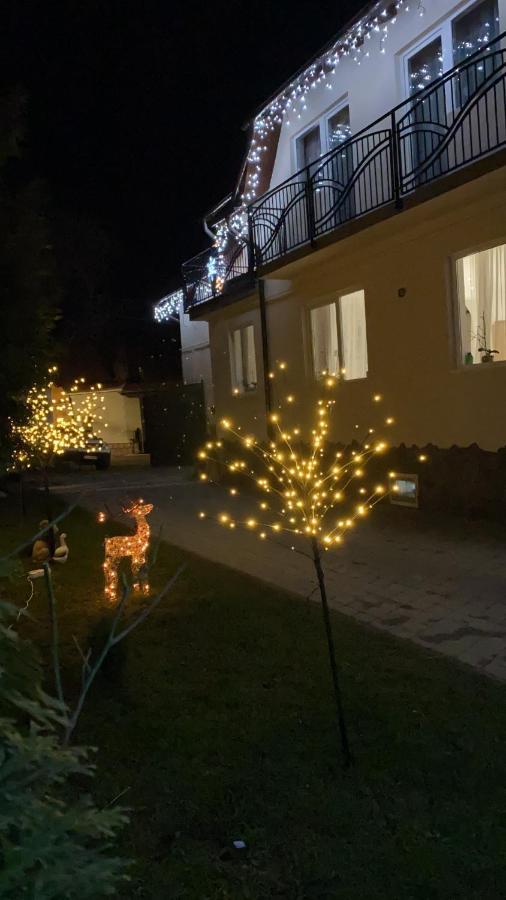 Casa Leny Ξενοδοχείο Tohanu Nou Εξωτερικό φωτογραφία