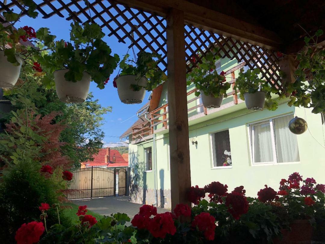 Casa Leny Ξενοδοχείο Tohanu Nou Εξωτερικό φωτογραφία