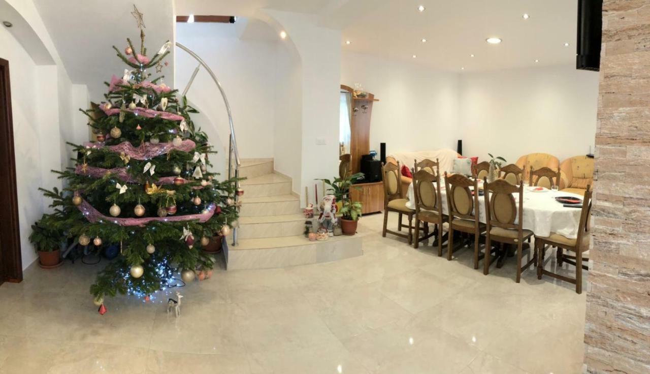 Casa Leny Ξενοδοχείο Tohanu Nou Εξωτερικό φωτογραφία