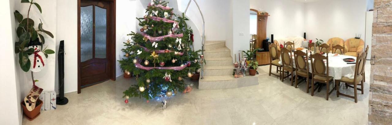Casa Leny Ξενοδοχείο Tohanu Nou Εξωτερικό φωτογραφία